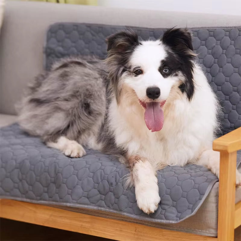 CheekyPaws™ Reusable Waterproof Dog Pee Pad